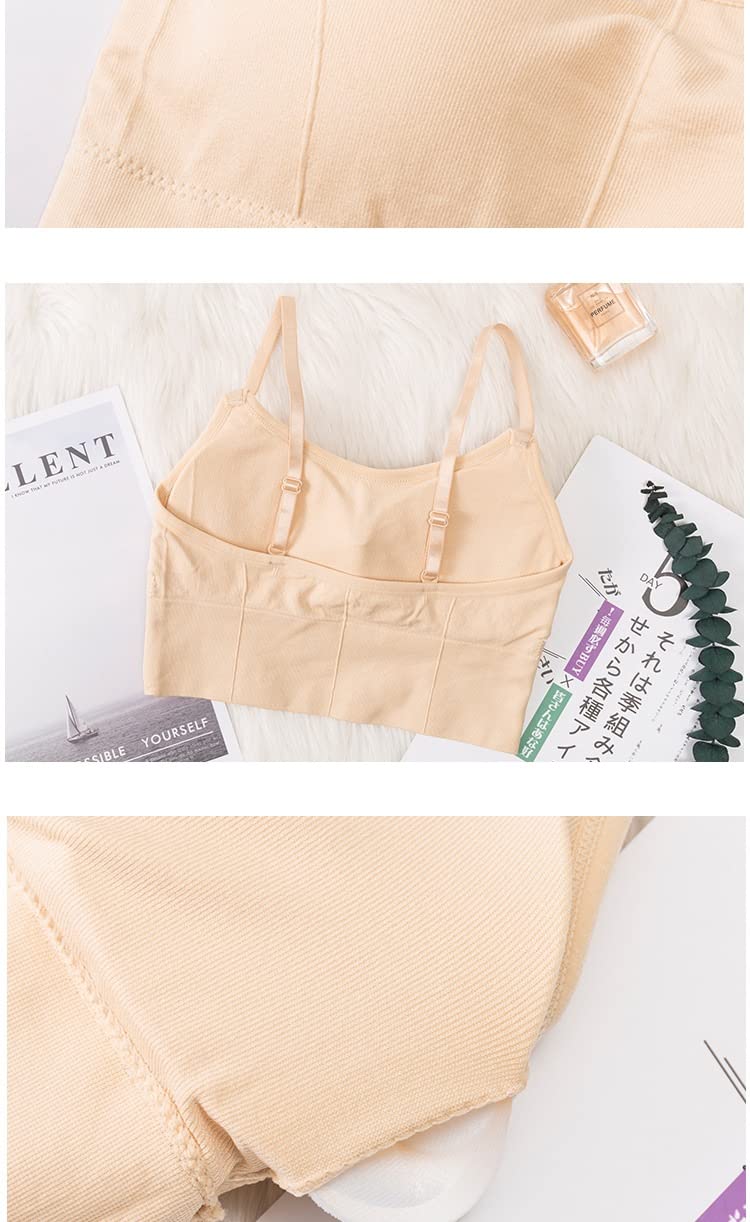 Mysha Women Cotton Padded Bra Combo Pack of 3 | Soft, Comfortable, and Breathable Fabric | Removable Pads, Adjustable Straps for Everyday Wear - Image 2